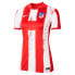 NIKE Atletico Madrid Stadium Home 21/22