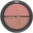 Фото #3 товара Gesichtsrouge Duo - TopFace Instyle Twin Blush On 003