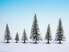 Фото #2 товара NOCH Snowy Fir Trees - Green