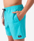 Men's Lennox Hermosa Solid Volley 17 Swim Shorts