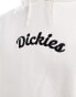 Dickies shawsville central logo hoodie in off white