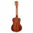 Фото #2 товара Kala KA-CG Mahogany Concert Ukulele