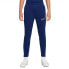 Фото #1 товара Спортивные штаны для детей Nike Dri-FIT Academy Темно-синий