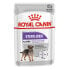 Фото #1 товара ROYAL CANIN Sterilized Pate 85g Wet Cat Food 12 Units