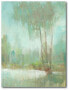 Фото #1 товара Mist in The Glen II Gallery-Wrapped Canvas Wall Art - 16" x 20"