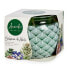 Scented Candle Fir (12 Units)