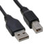 Фото #1 товара InLine USB 2.0 Cable Type A male / B male black 1m