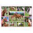 Фото #2 товара Puzzle Schöne Pferde 150 Teile