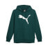 Puma Cat Logo Pullover Hoodie Mens Green Casual Outerwear 67271243