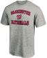 ფოტო #2 პროდუქტის Men's Heathered Gray Washington Nationals Heart Soul T-shirt