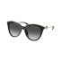 ფოტო #1 პროდუქტის MICHAEL KORS MK2162U30058G sunglasses