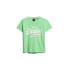Фото #2 товара SUPERDRY Neon Vl Graphic Fitted Ub short sleeve T-shirt