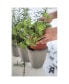 Фото #2 товара 232744 Ivy Herbs In Outdoor Planter Flower Pot Taupe 13 Inch