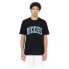 ფოტო #2 პროდუქტის DICKIES Aitkin short sleeve T-shirt