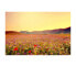 Фото #1 товара Картина Wallpro "Солнечное поле прекрасных диких цветов"