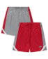 ფოტო #2 პროდუქტის Men's Scarlet, Gray Ohio State Buckeyes Big and Tall Team Reversible Shorts