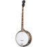 Фото #2 товара Epiphone Mastertone Classic Banjo