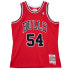 Mens Mitchell & Ness NBA SWINGMAN JERSEY - CHICAGO BULLS HORACE GRANT 1990-91