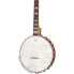 Фото #8 товара Epiphone Mastertone Bow Tie OB Banjo