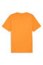 Фото #3 товара Erkek T-Shirt orange 586667
