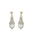 Фото #1 товара Women's Dazzling Drop Earrings