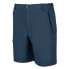 REGATTA Leesville II Shorts