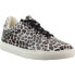 COCONUTS by Matisse Relay Leopard Womens Brown, Off White Sneakers Casual Shoes
