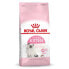 ROYAL CANIN Kitten 10kg Cat Food Разноцветный, 10kg - фото #2