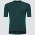 Фото #3 товара OAKLEY APPAREL Point To Point short sleeve jersey