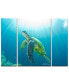 Фото #1 товара 'Sea Turtle' 3-Pc. Canvas Art Print Set