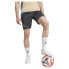 Фото #4 товара ADIDAS Argentina 23/24 Shorts Training