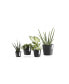 Фото #3 товара Amsterdam Modern Round Indoor and Outdoor Planter, 5in