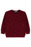 Erkek Çocuk Sweatshirt 2-5 Yaş Bordo