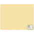 Фото #1 товара Картонная бумага цвета кремовый APLI Cards Apli Cream 50 x 65 см (25 штук)