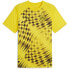 Фото #1 товара PUMA Borussia Dortmund 23/24 Prematch Short Sleeve T-Shirt
