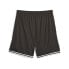 PUMA Hoops Team Game shorts