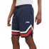 Фото #4 товара Fila Lashio Baseball Shorts M FAM0651.50004