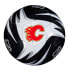Фото #1 товара Футбольный мяч FRANKLIN NHL Flames Touch