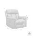 Estelle 42" Fabric in Power Recliner Chair