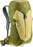 Plecak turystyczny Deuter Plecak turystyczny Deuter AC Lite 16 linden-cactus