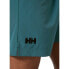 Фото #5 товара HELLY HANSEN Friluft shorts