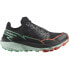 Фото #1 товара SALOMON Thundercross trail running shoes