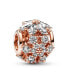 ფოტო #1 პროდუქტის Cubic Zirconia Sparkling Herbarium Cluster Round Charm