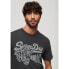 SUPERDRY Stay Lucky Graphic short sleeve T-shirt