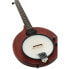 Фото #6 товара Gold Tone EB-5 Electric 5 string Banjo