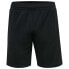 Фото #1 товара HUMMEL Topaz Shorts