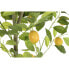 Фото #2 товара Дерево DKD Home Decor Лимонное дерево полиэстер полипропилен (90 x 90 x 180 cm)