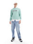 Фото #5 товара Timberland large script logo sweatshirt in light green