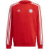 Фото #1 товара Adidas FC Bayern Crew Jr HF1353 sweatshirt