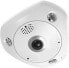 Фото #1 товара LevelOne IPCam FCS-3095 Dome In 12MP H.265 12W PoE - Network Camera